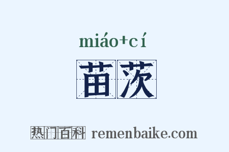苗茨是什么意思的图片